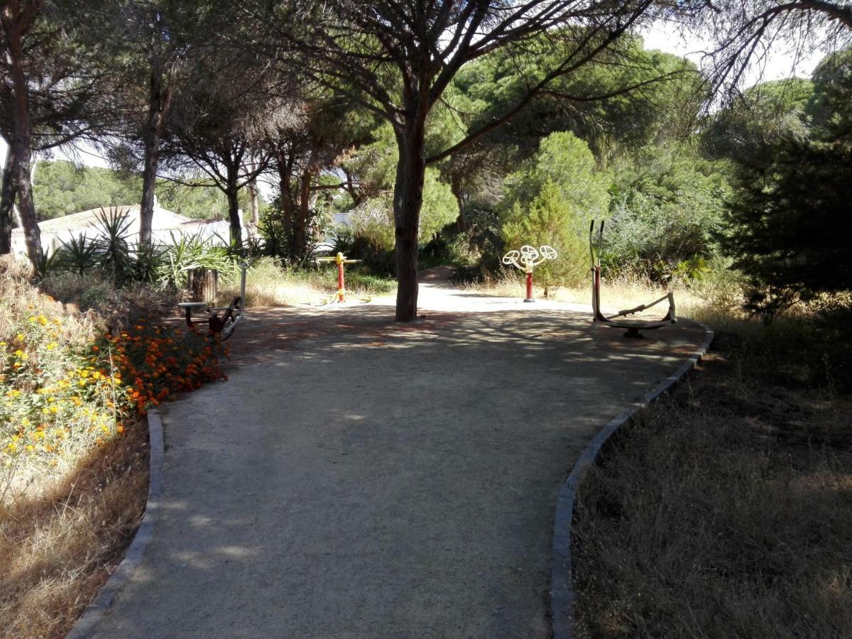 Apartamento En Los Patios De Santa Maria Golf Marbella Exterior photo